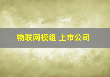 物联网模组 上市公司